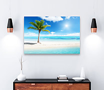 Obraz Palm beach zs1345